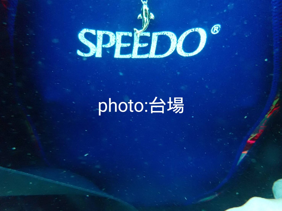 Deep 競泳水着画像掲示板へ投稿された台場様のDeep 競泳水着画像 No.16319517630007