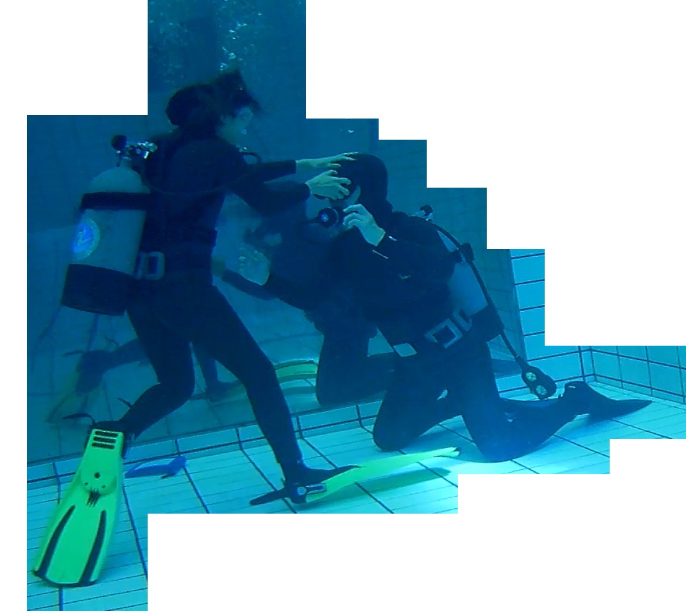 none画像掲示板へ投稿されたフロッグウーマン様のnone画像 No.17422608460065