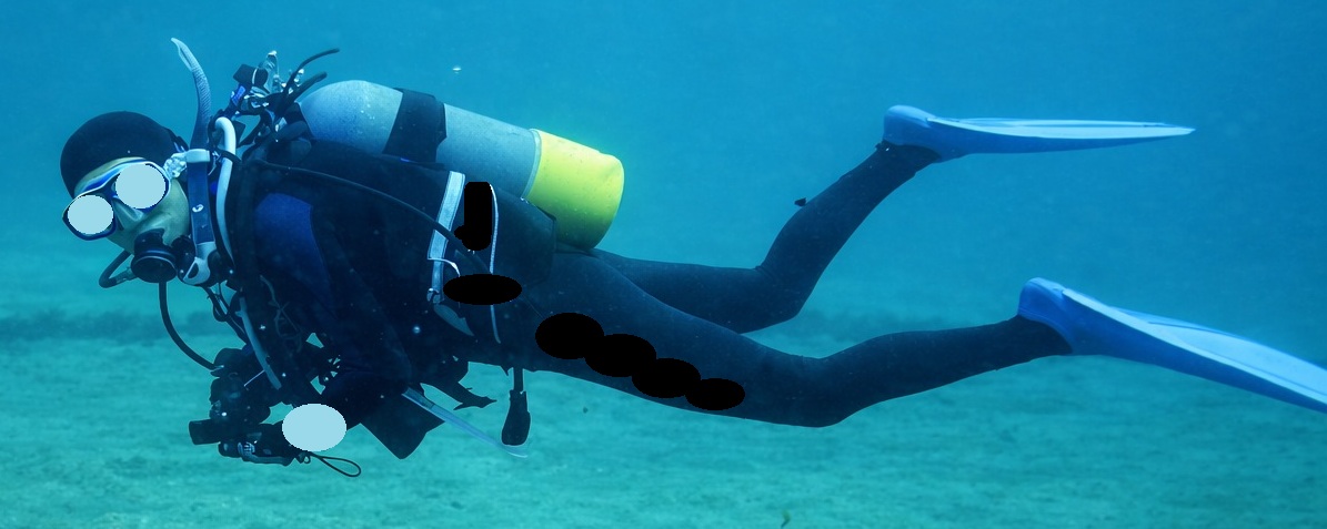 none画像掲示板へ投稿されたフロッグウーマン様のnone画像 No.17710313810004