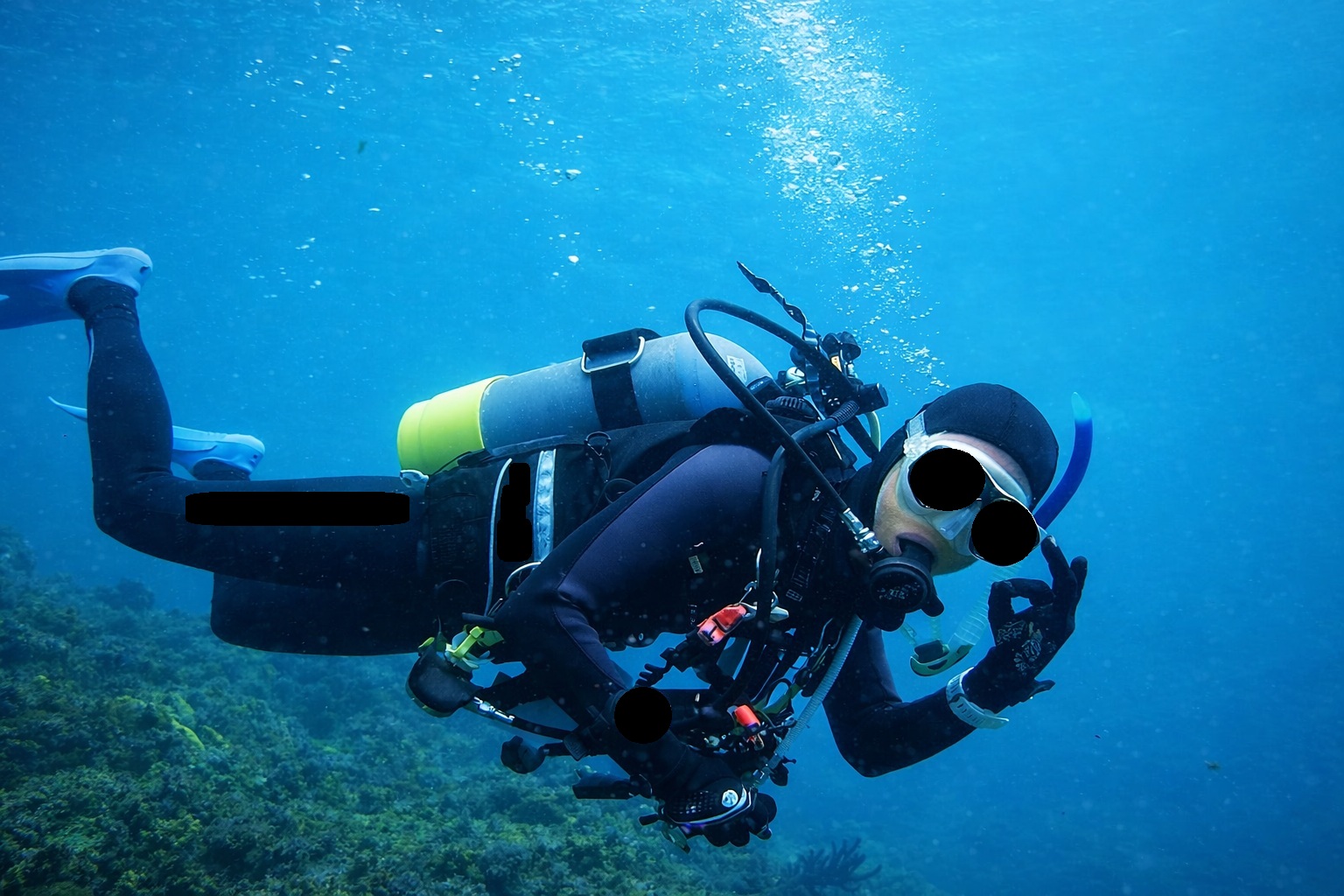 none画像掲示板へ投稿されたフロッグウーマン様のnone画像 No.17710313810005