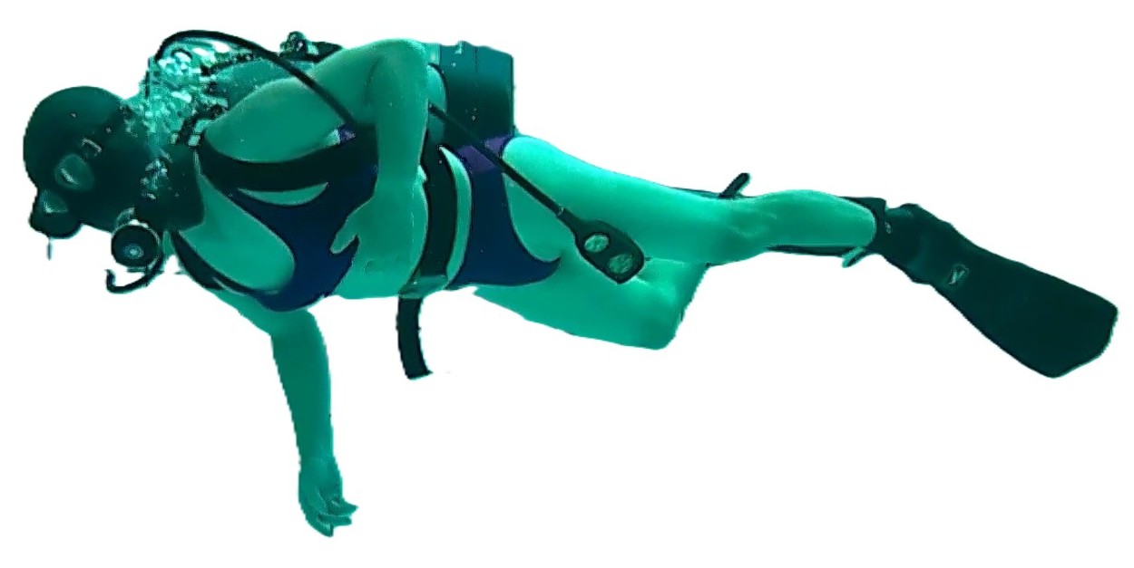 none画像掲示板へ投稿されたフロッグウーマン様のnone画像 No.17628395730001