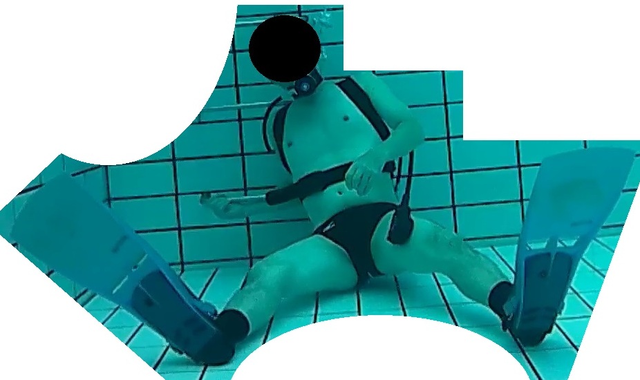 none画像掲示板へ投稿されたフロッグウーマン様のnone画像 No.17726782360001