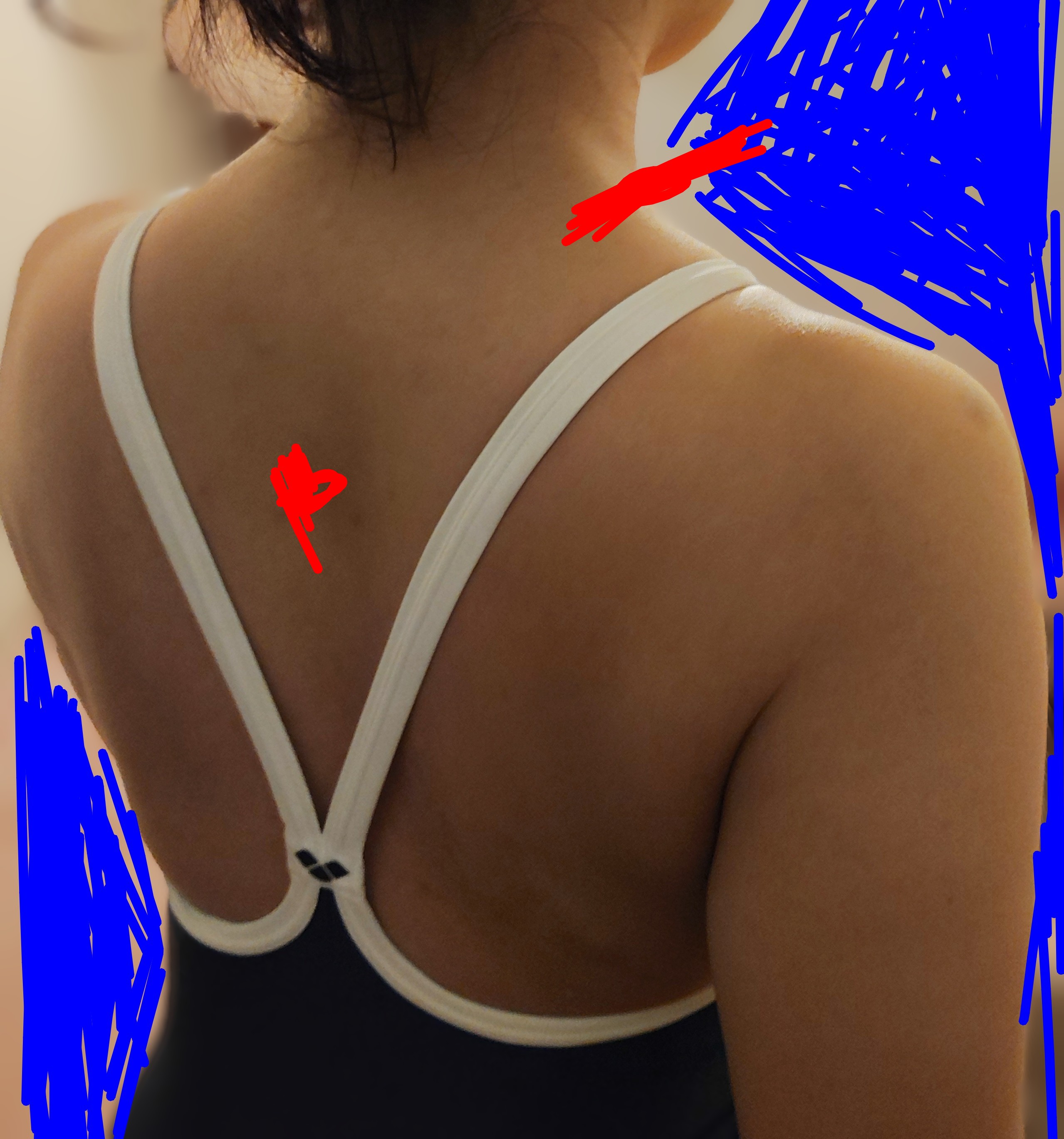 none画像掲示板へ投稿されたhiro様のnone画像 No.17666733010001